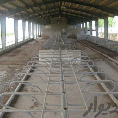 فروش گاوداری در کرج2