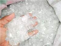 کشف بازار پت پرک زير 2001