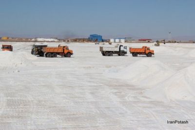 جذب مشتري براي نمک با پايين ترين قيمت1