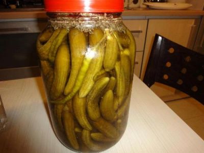 افزايش فروش خيارشور درجه يک0
