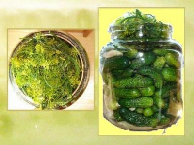 تجارت خيارشور درجه يک0