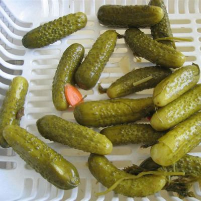 خريد خيارشور درجه کيفيت عالي0