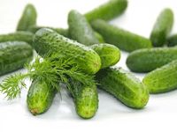 فروش خيارشور درجه کيفيت عالي1