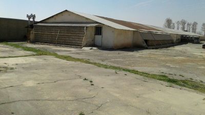 فروش مرغداری 28 هزار راسی زیر قیمت( فروش فوری)2