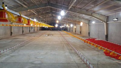 فروش مرغداری 60هزار قطعه ای گوشتی(فوری - معاوضه با ملک تهران7