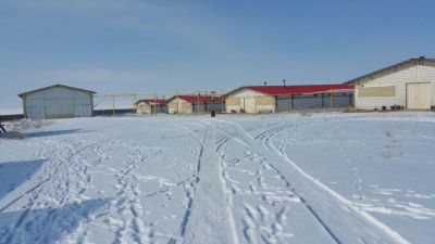 فروش مرغداری 60هزار قطعه ای گوشتی(فوری - معاوضه با ملک تهران3