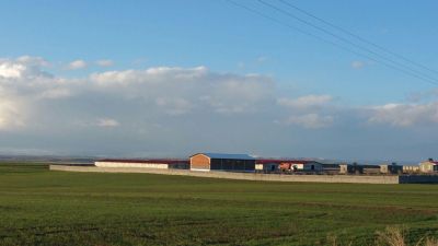 فروش مرغداری 60هزار قطعه ای گوشتی(فوری - معاوضه با ملک تهران2