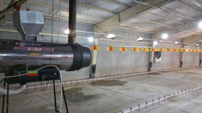 فروش مرغداری 60هزار قطعه ای گوشتی(فوری - معاوضه با ملک تهران8