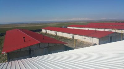 فروش مرغداری 60هزار قطعه ای گوشتی(فوری - معاوضه با ملک تهران6