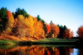 ایران - تهران - نیاوران 11000متر ( کارشناس راه اندازی هتل )4