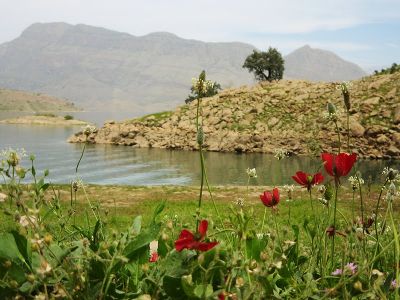 ایران - تهران - پونک 2500متر (کارشناس امور ساخت هتل )3