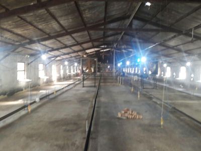 فروش مرغداری فعال در قائمشهر 2