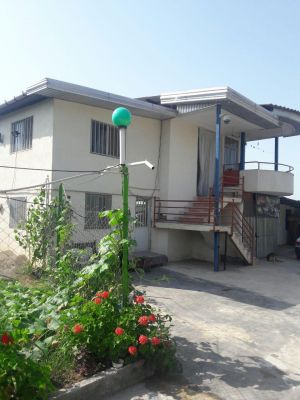 فروش مرغداری فعال در قائمشهر 6