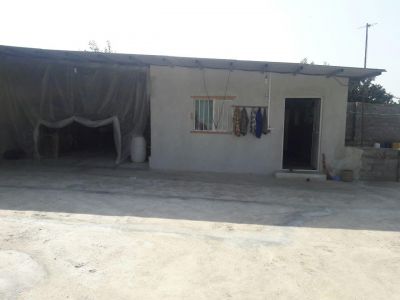 فروش مرغداری فعال در قائمشهر 8