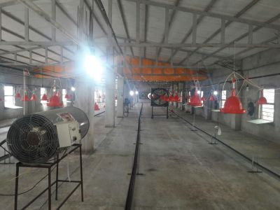 فروش مرغداری فعال در قائمشهر 5