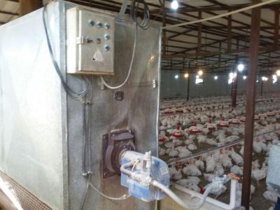 فروش مرغداری 30 هزار تایی  گوشتی در مازندران9
