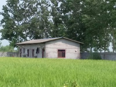 فروش مرغداری 30 هزار تایی  گوشتی در مازندران6
