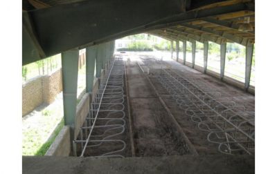 فروش گاوداری صنعتی در  کرج2