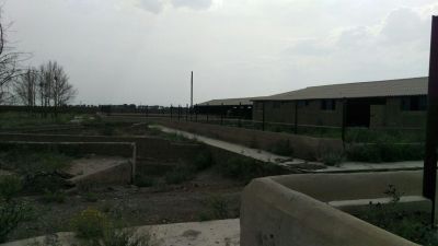 فروش گاوداری شیری صنعتی 3 هکتاری در ورامین5