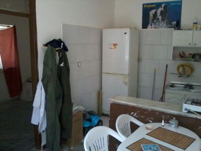 فروش گاوداری100 راسی شیری صنعتی در هشتگرد3