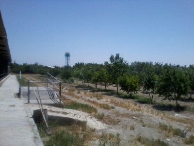 فروش گاوداری100 راسی شیری صنعتی در هشتگرد11