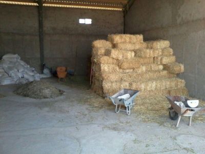 فروش گاوداری100 راسی شیری صنعتی در هشتگرد6