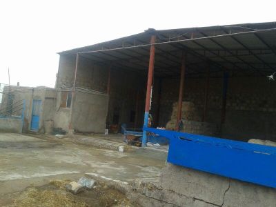 فروش گاوداری در گرمسار3