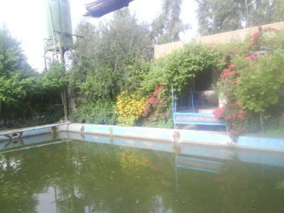 فروش گاوداری در گرمسار1