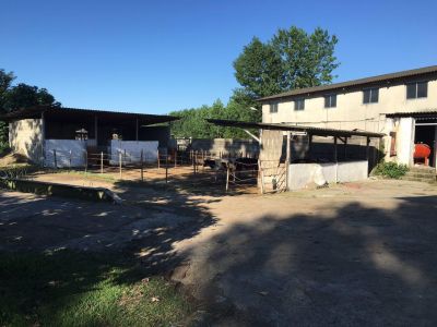 فروش دامداری در گیلان به قیمت نصف قیمت کارشناسی (فروش فوری) 4