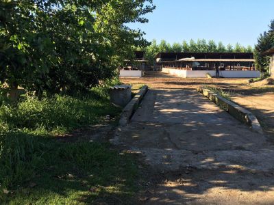 فروش دامداری در گیلان به قیمت نصف قیمت کارشناسی (فروش فوری) 14