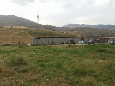 فروش 60 راسی شیری در رودبار 11