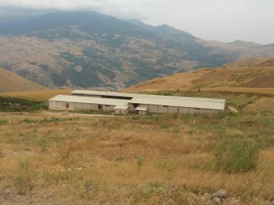 فروش 60 راسی شیری در رودبار 9