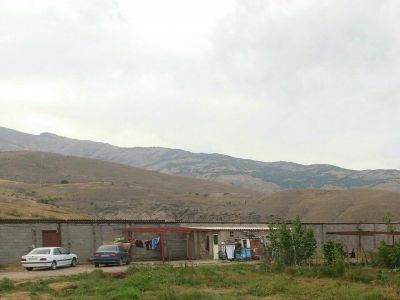 فروش 60 راسی شیری در رودبار 3