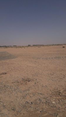 فروش زمین گاوداری و پسته در ورامین2