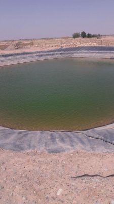 فروش زمین گاوداری و پسته در ورامین1