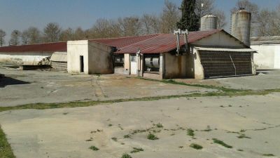 فروش مرغداری به مساحت 2 هکتار در شهریار2