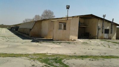 فروش مرغداری به مساحت 2 هکتار در شهریار1