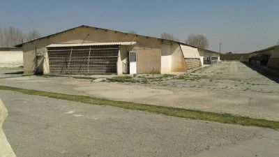 فروش مرغداری در البرز کرج 2هکتار7