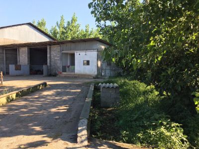 فروش 3هکتار گاوداری  درگیلان زیر قیمت3