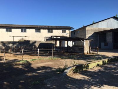 فروش 3هکتار گاوداری  درگیلان زیر قیمت2