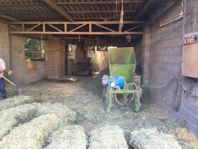 فروش گاوداری فعال در گیلان به همراه دام8