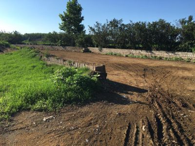 فروش گاوداری فعال در گیلان به همراه دام2