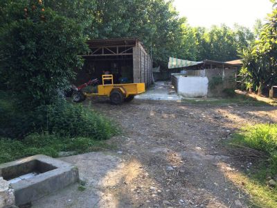 فروش 3هکتار گاوداری  درگیلان زیر قیمت ( فروش فوری )13