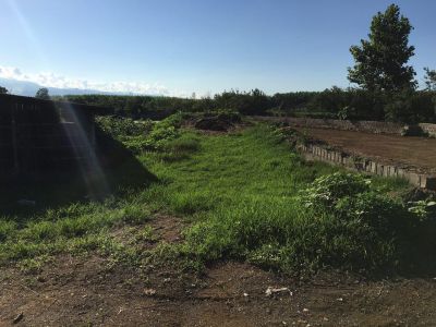 فروش گاوداری مجهز در گیلان زیر قیمت فوری به مساحت 3 هکتار7