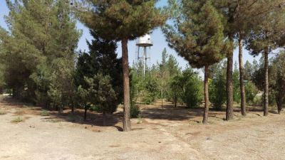 فروش کارخانه فلزی فعال در مورچه خورت اصفهان2