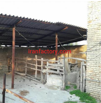 فروش 400 متر دامداری در کردکوی2