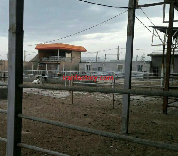 فروش گاوداری مجهز و لاکچری آماده بکار در قم0