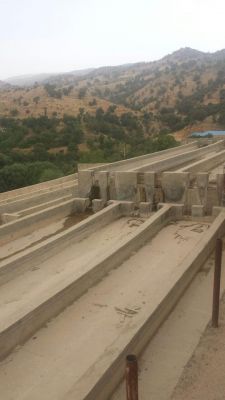 فروش پرورش ماهی در شیراز1