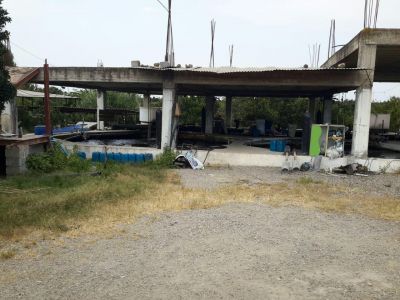 فروش پرورش ماهی در رشت1