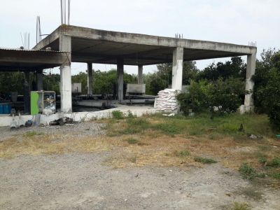 فروش پرورش ماهی در رشت0